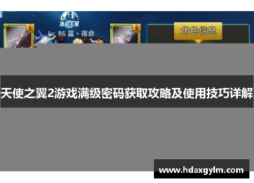 天使之翼2游戏满级密码获取攻略及使用技巧详解